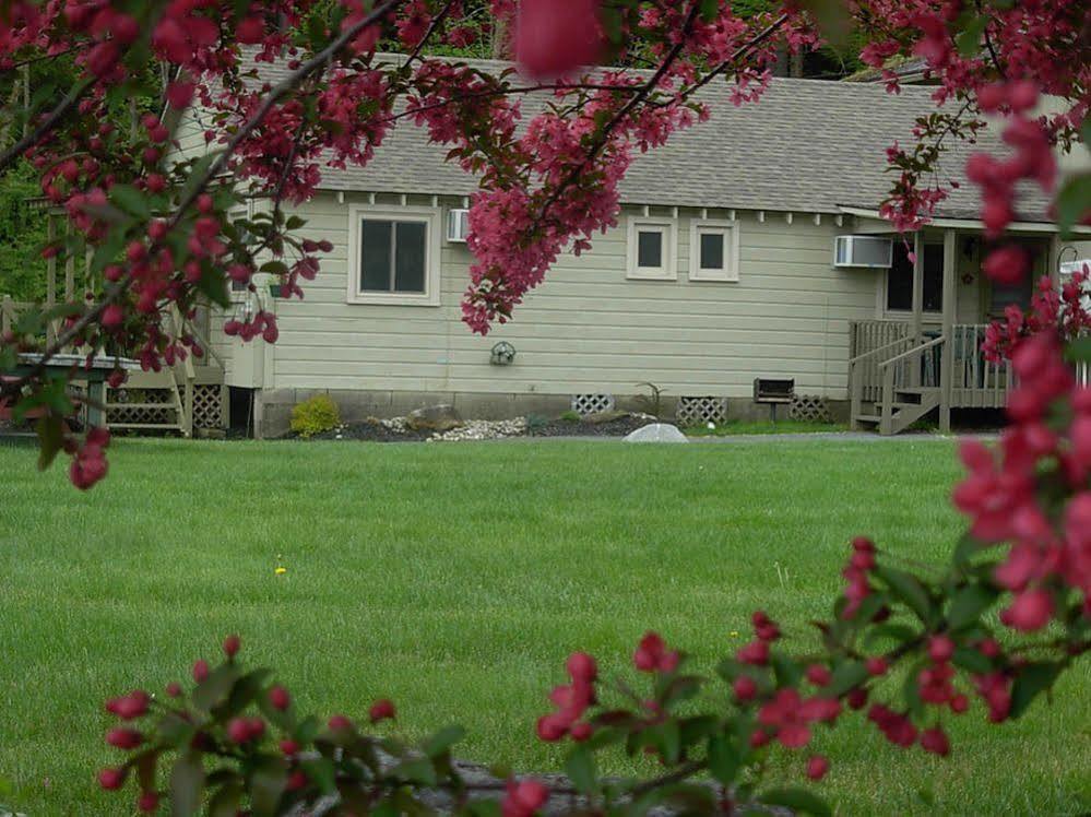 Lake George Diamond Cove Cottages, Cabins, & Hotel Экстерьер фото